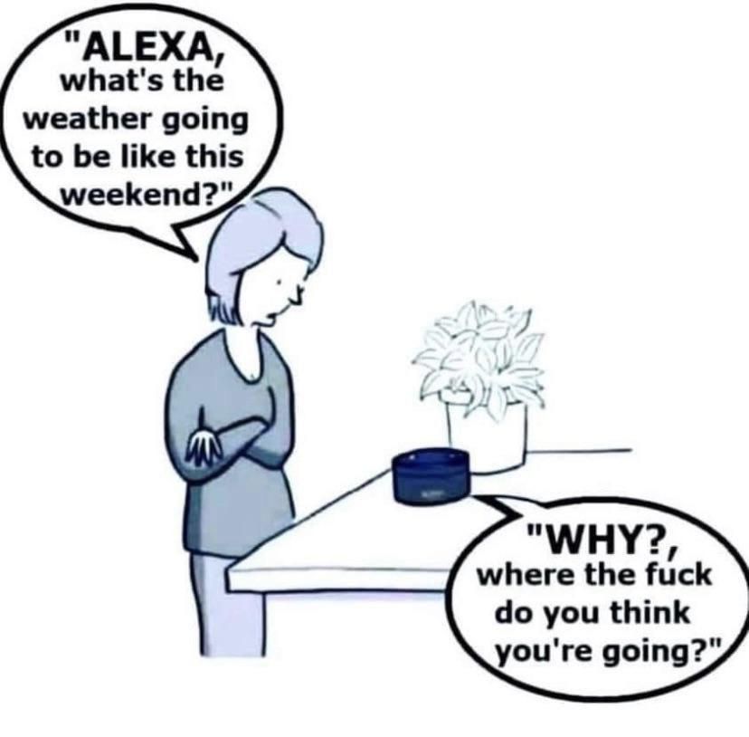 If Alexa was my wife