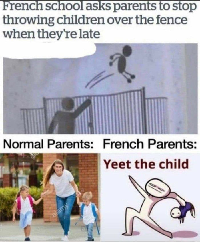 i strongly dislike the french