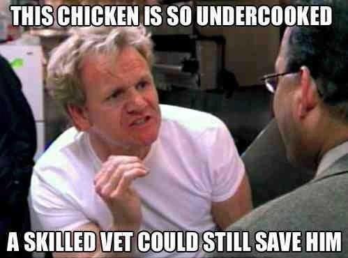 Uncooked Chicken