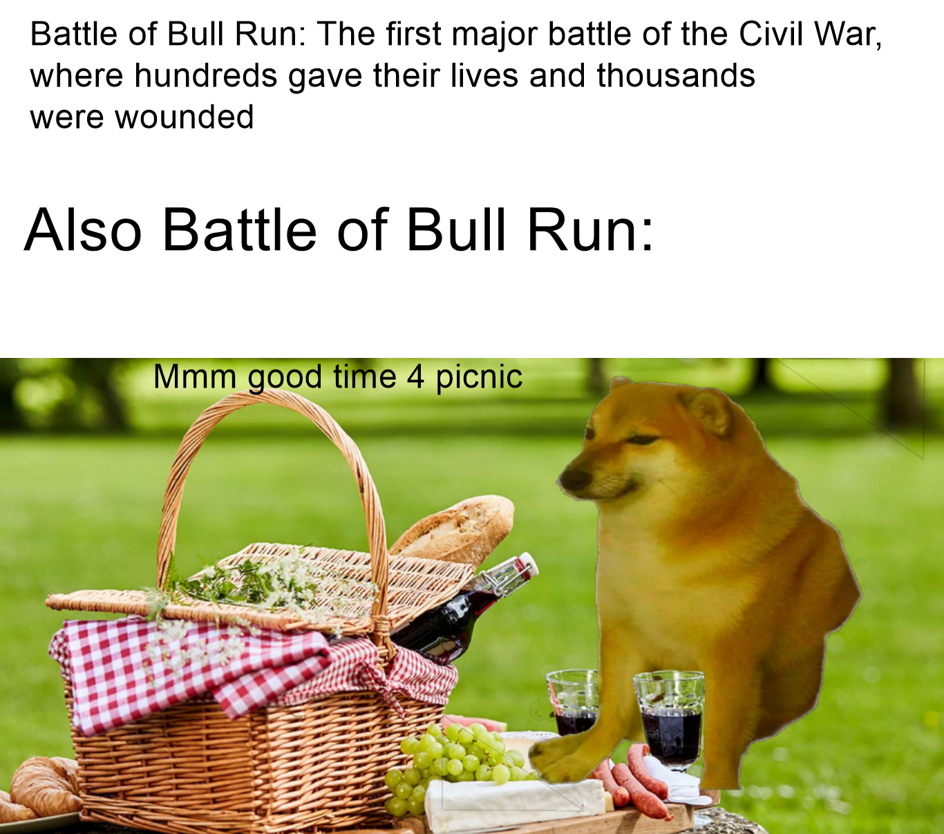 The Picnic Battle