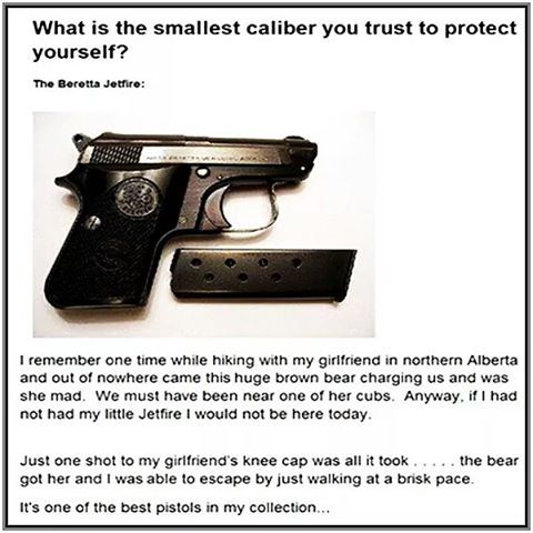 Thinking about getting a small caliber pistol?