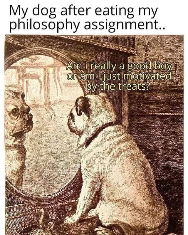 Doggo Freud Philosophy