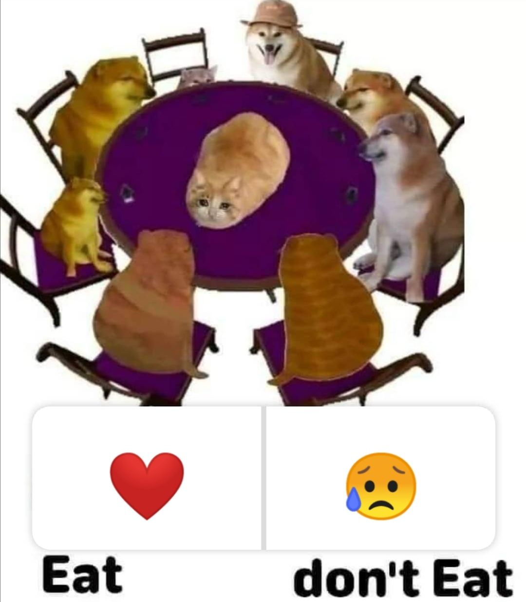 Doge wouldn't do that :'(