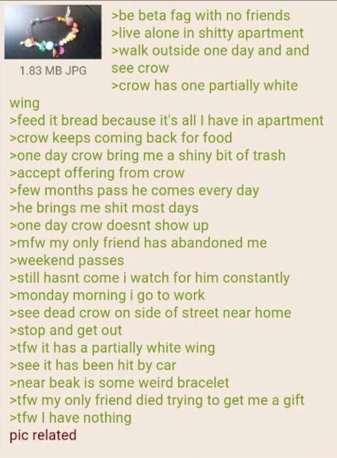 Anon domesticates a crow