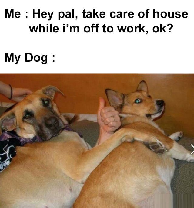 k pal