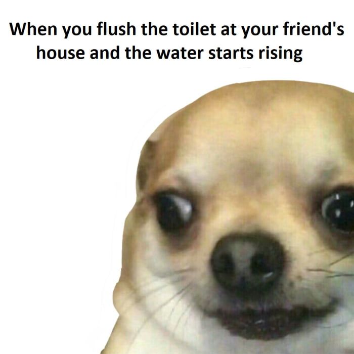 what now?