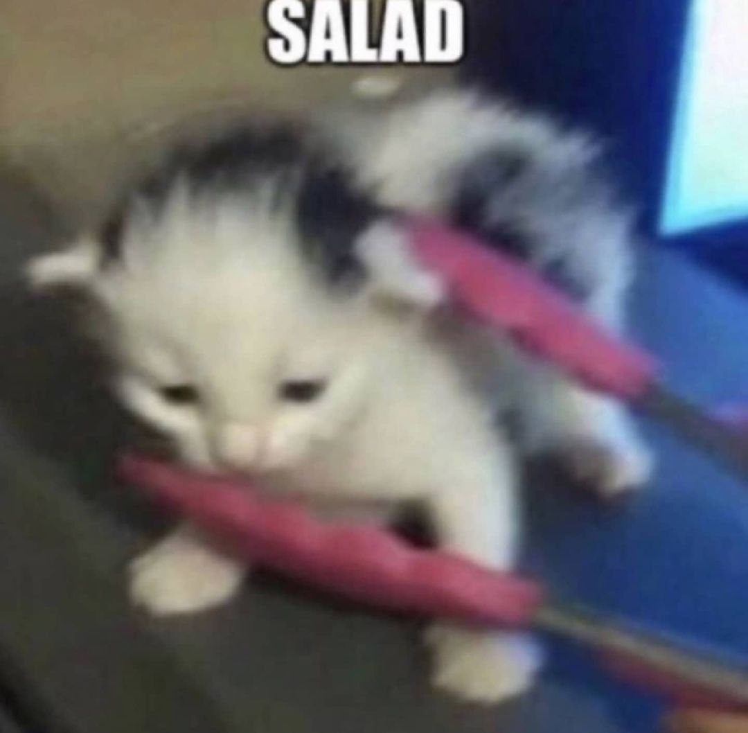 salad