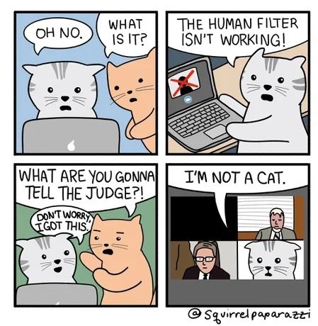 Me IRL