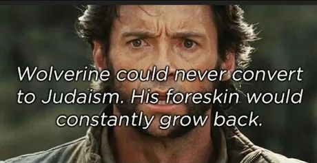 Based Wolverine