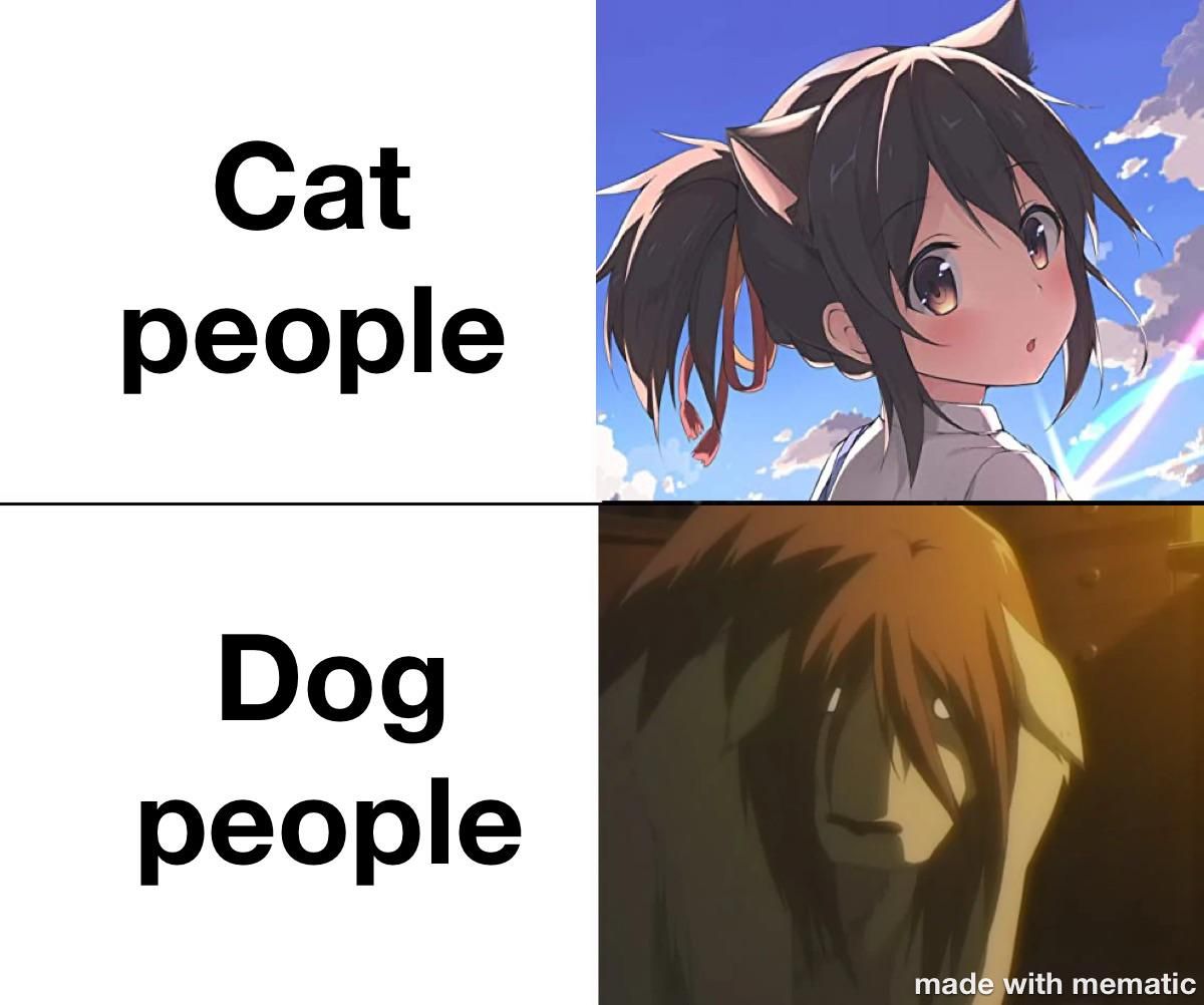 I’m more of a cat person myself