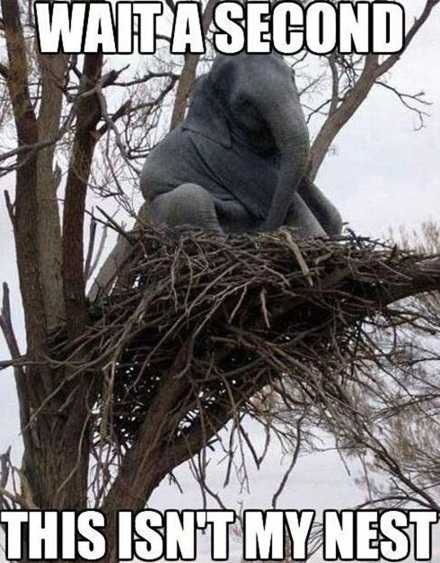 Ok, someone help me out!