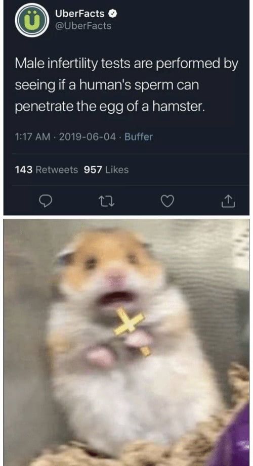 the horror