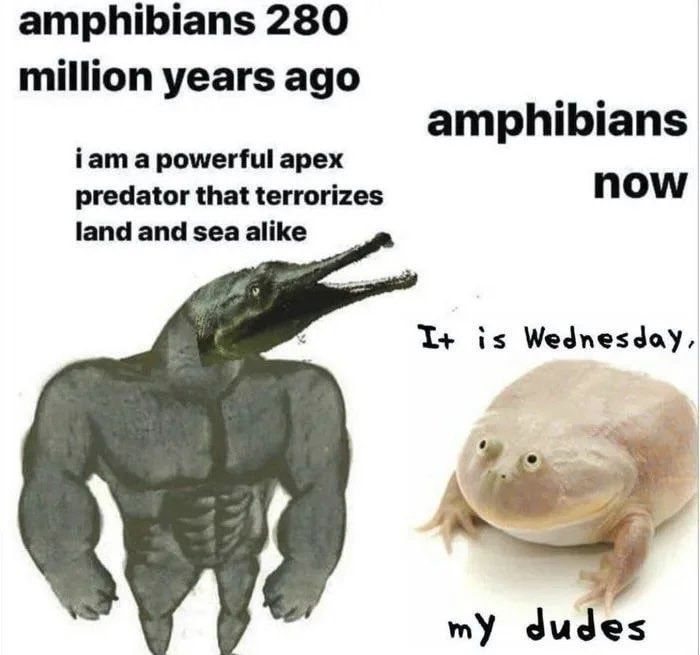 Peak evolution achieved