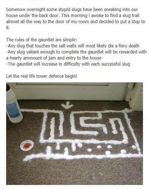 slugs