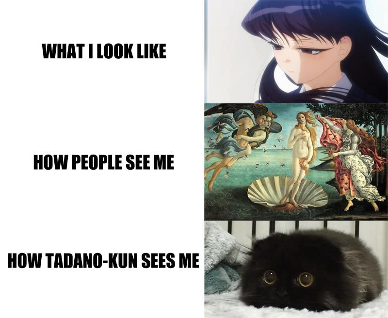 Komi san can into memes