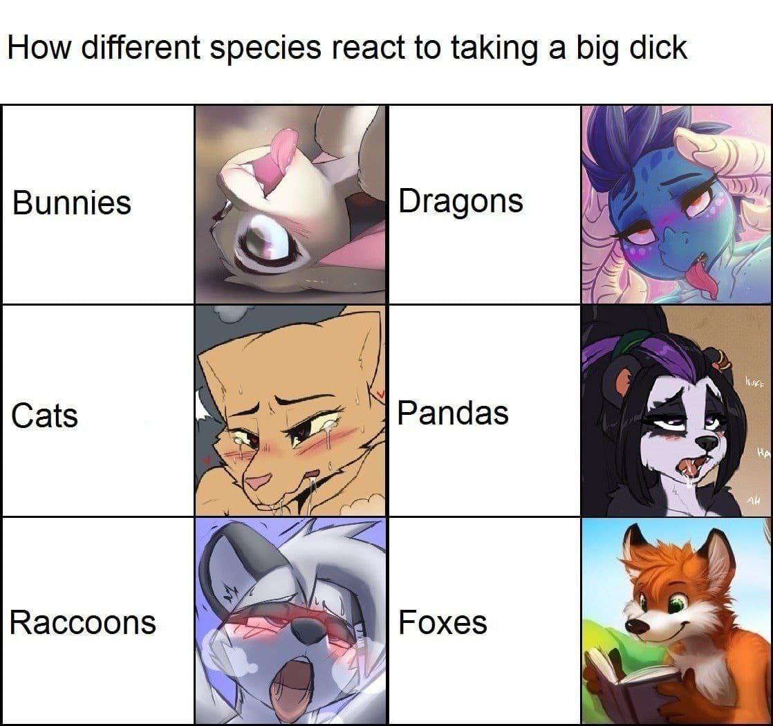 I am told you want more furry memes