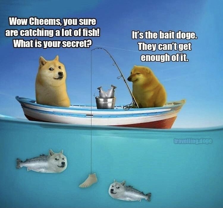 They love it