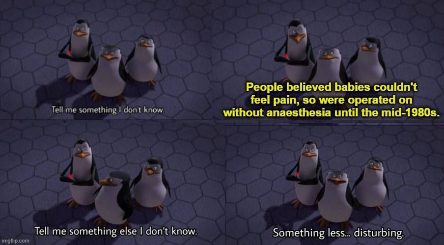 Always trust the experts