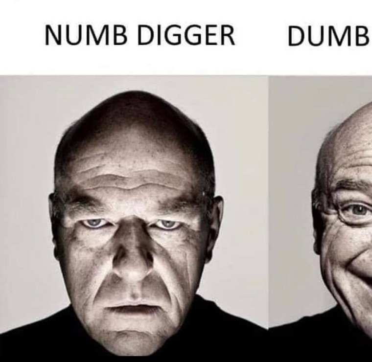 racism is funny
