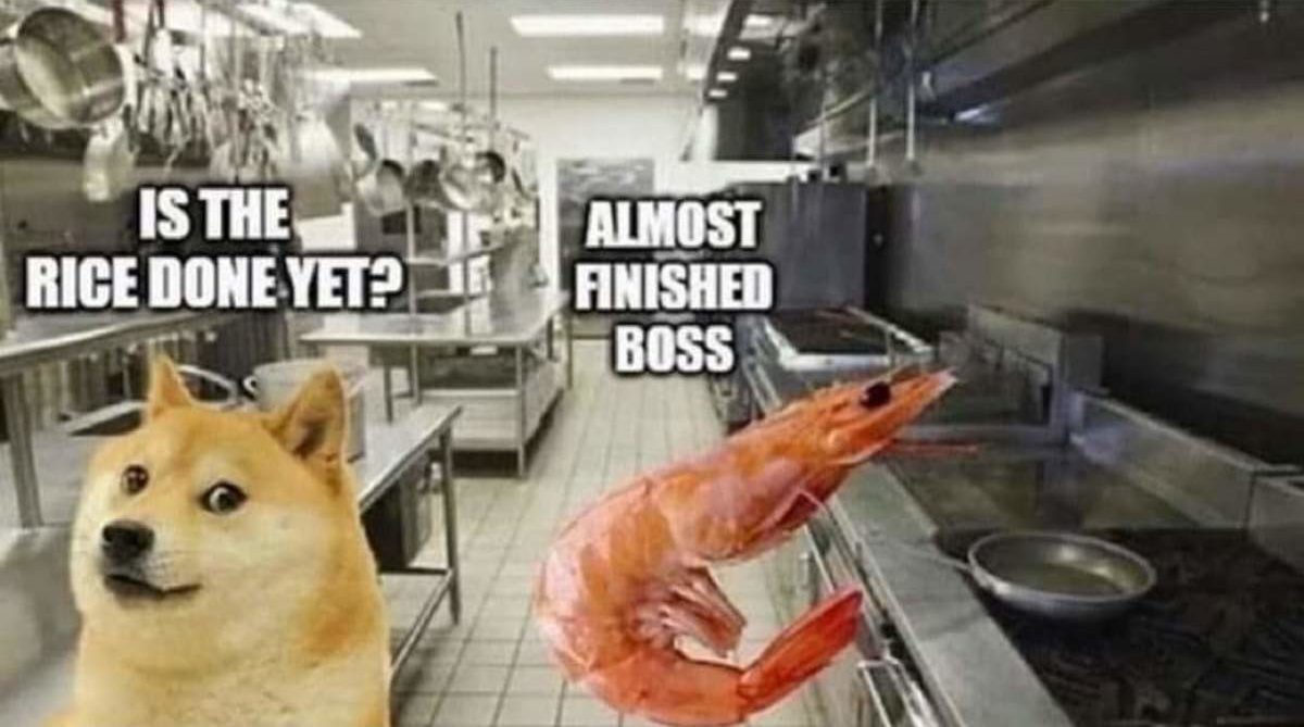 Wait... shrimp really did fried rice?