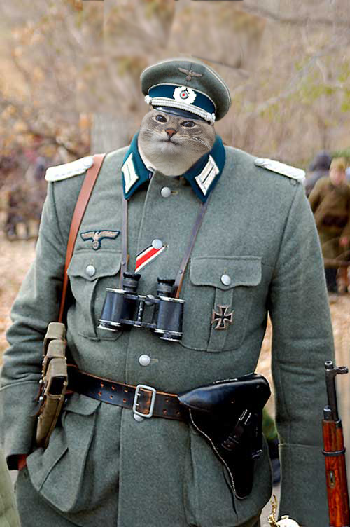 Oberstgruppenfuhrer Duddy reporting for duty