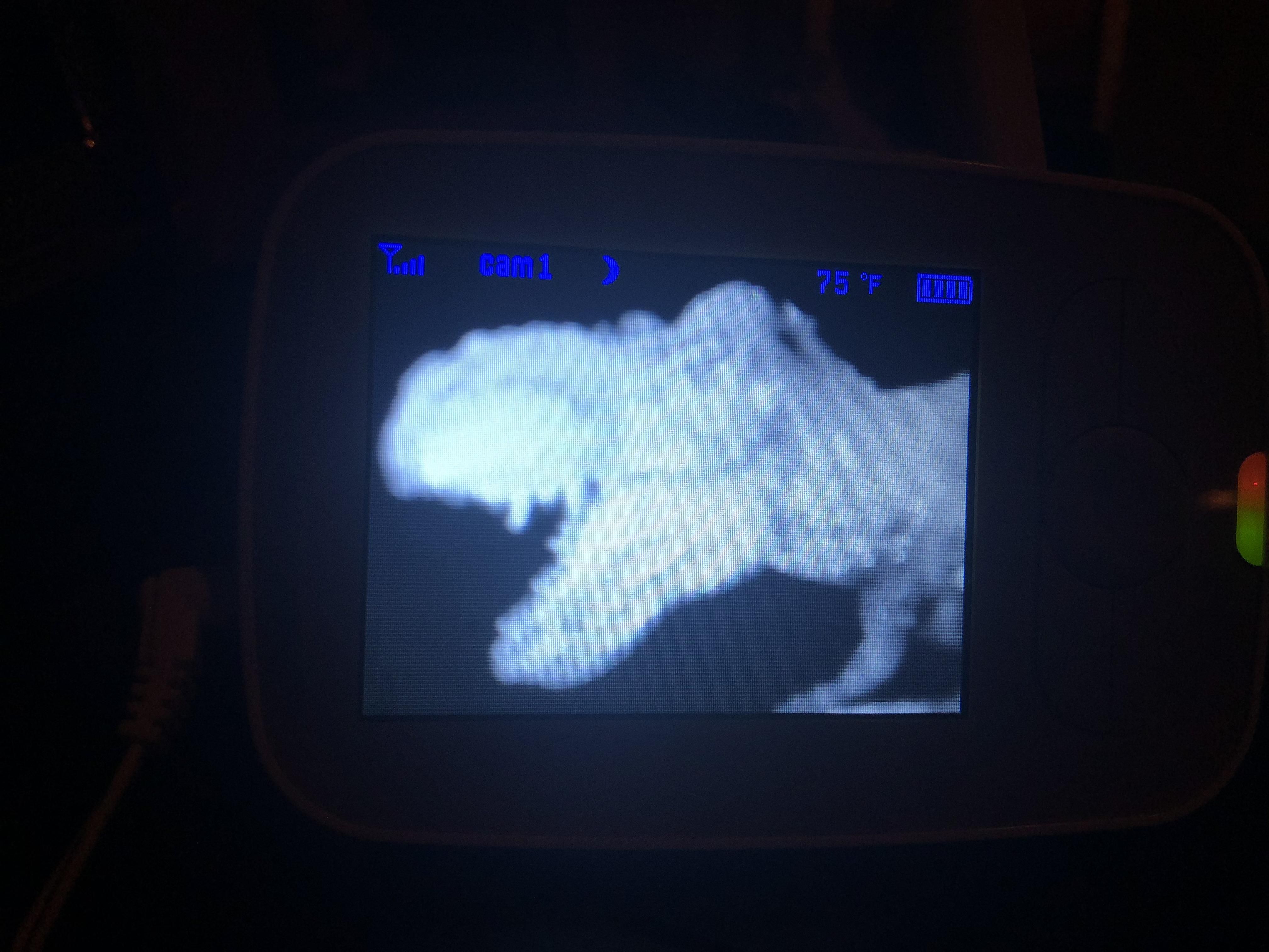My son thought it would be funny to put his toy in front of the baby monitor.