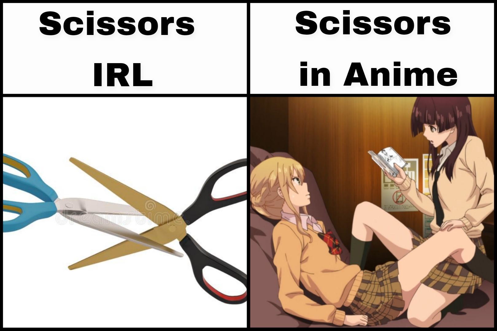 Thigh Scissors