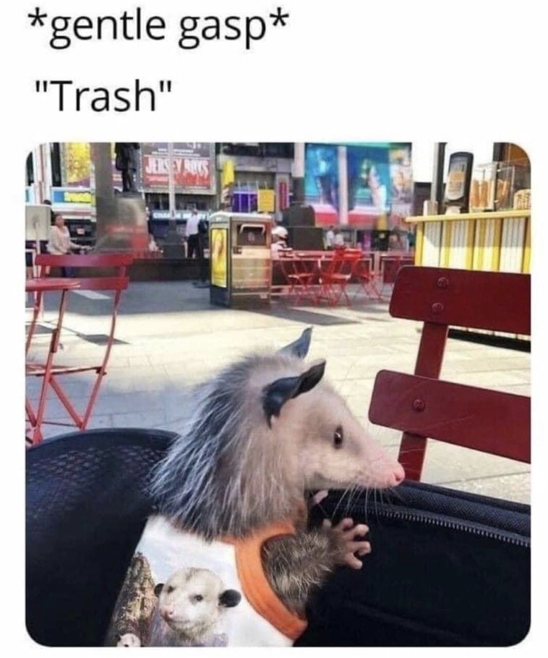 Wholesome possum