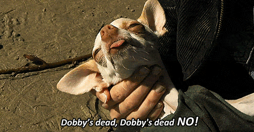Nooo! Dobby!
