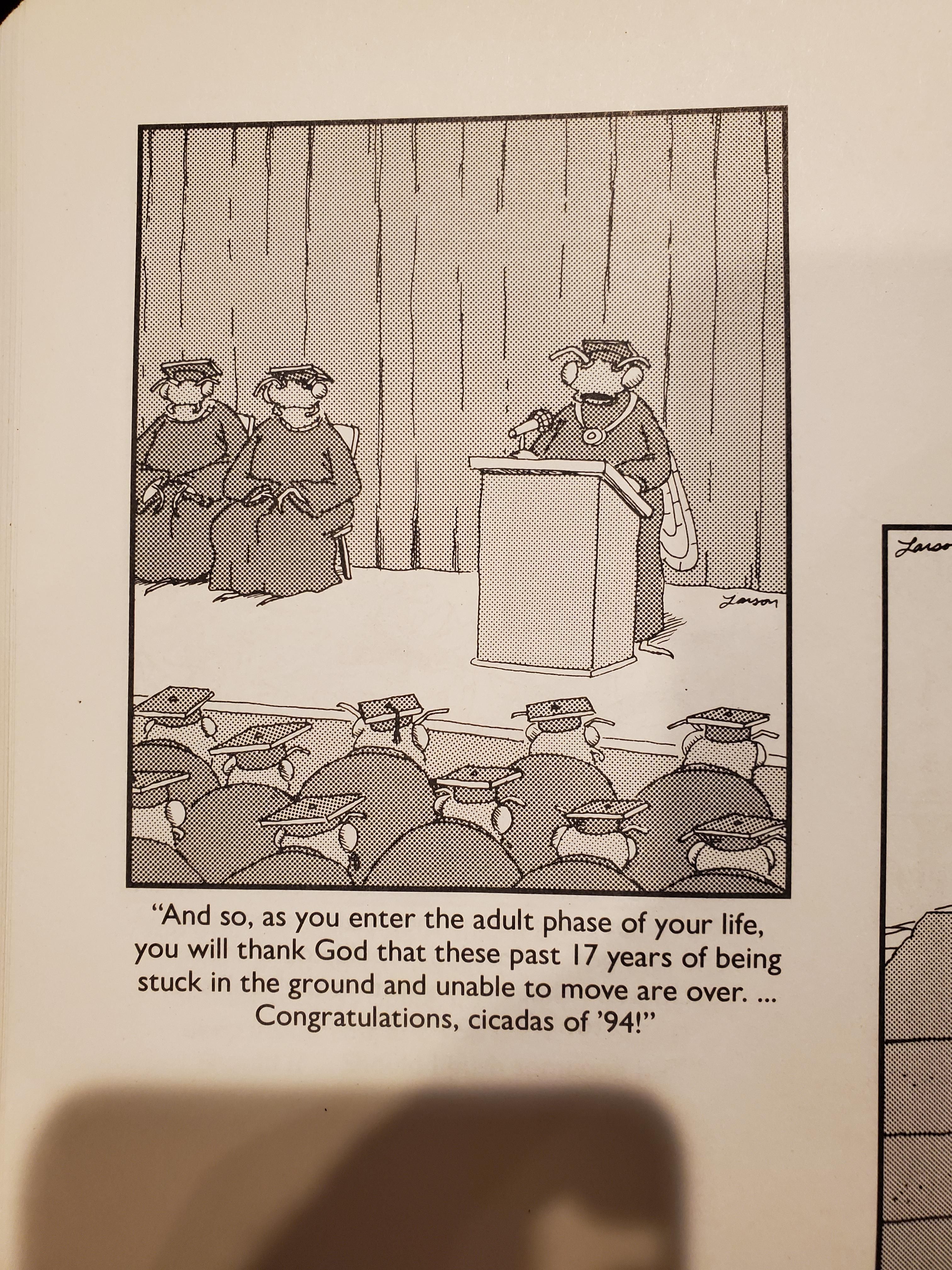 A Far Side bit for all the east coasters