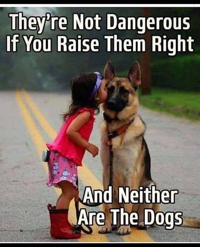 dogs