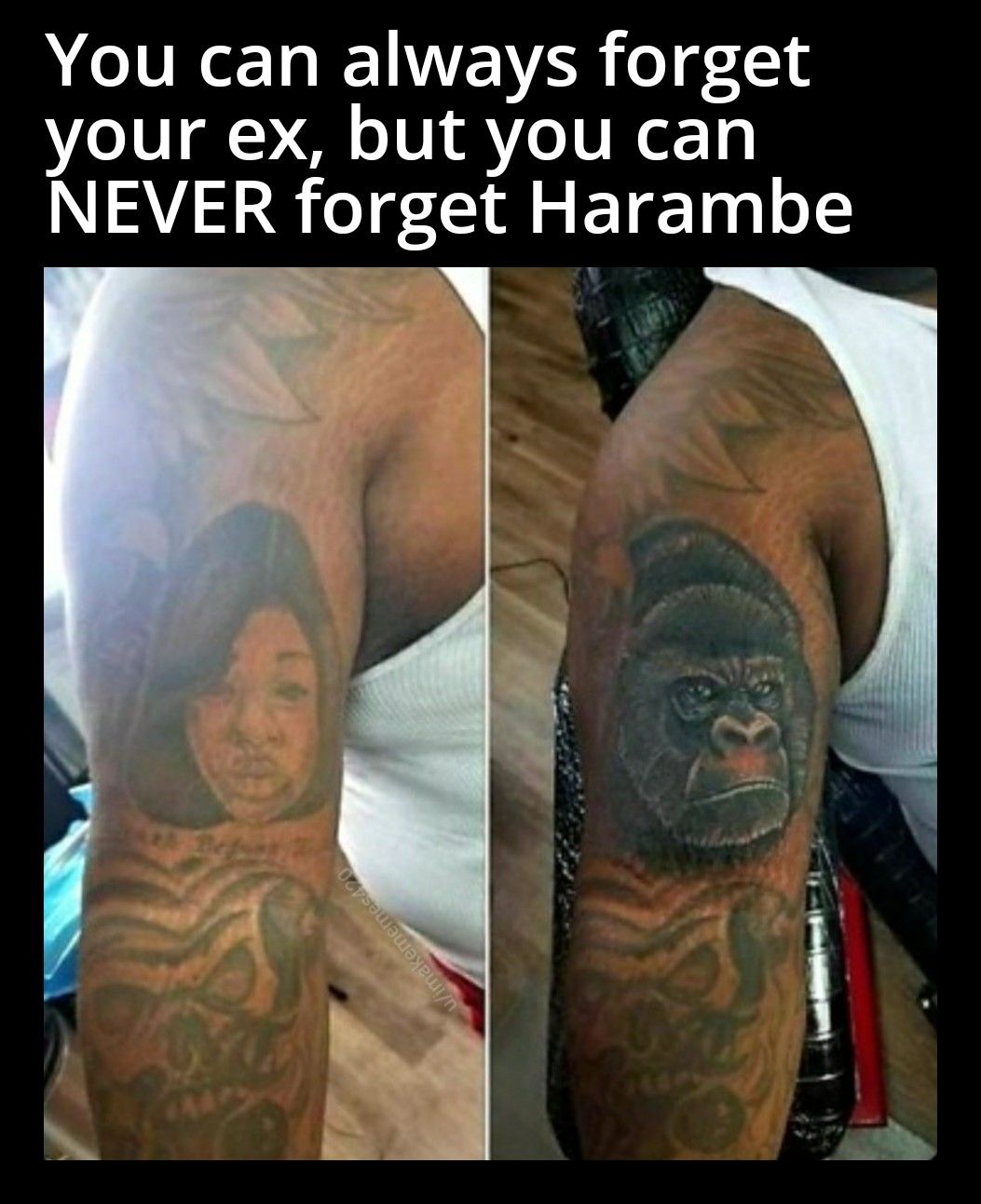 It's already been 5 years... we miss you Harambe