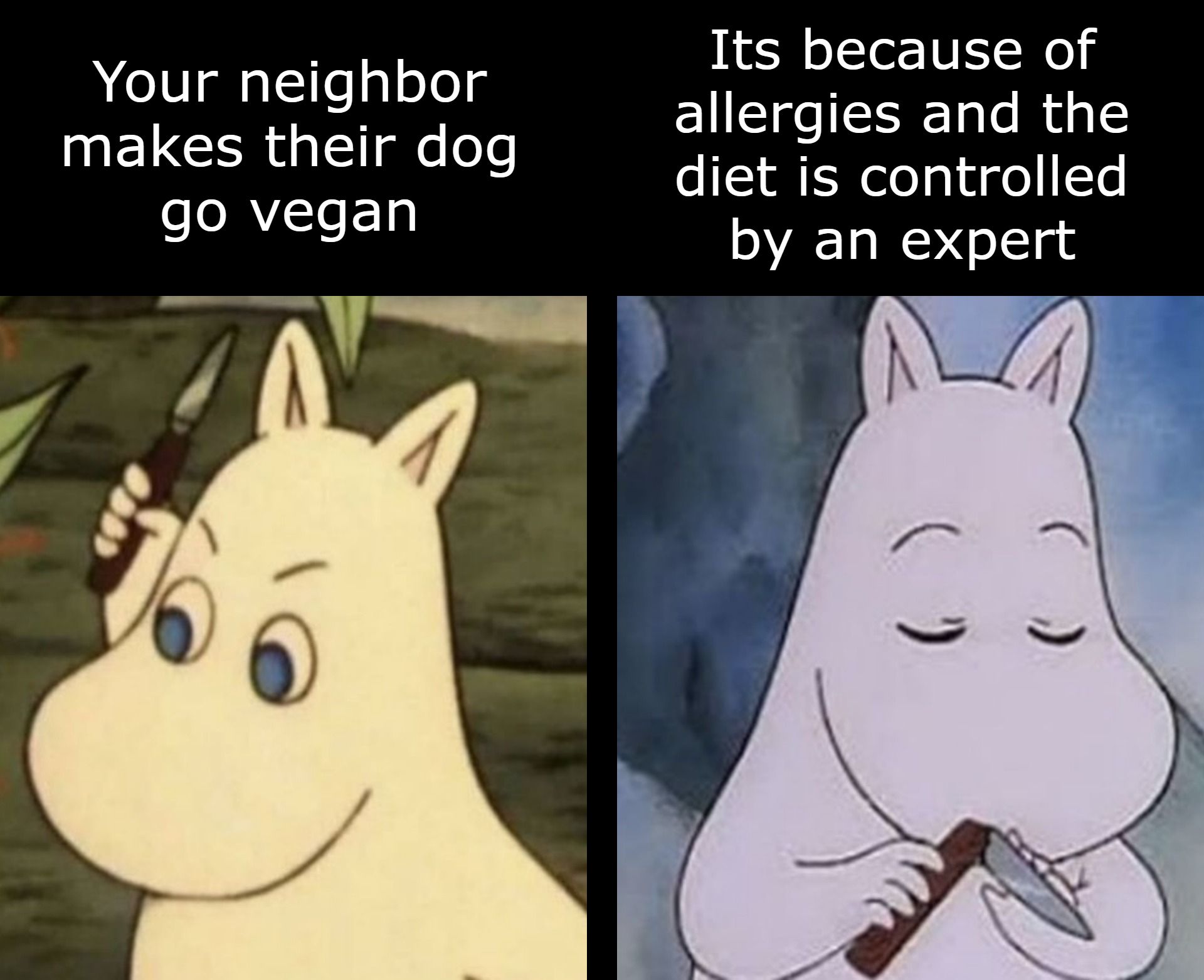 But most of the time, having your dog be vegan is bad.