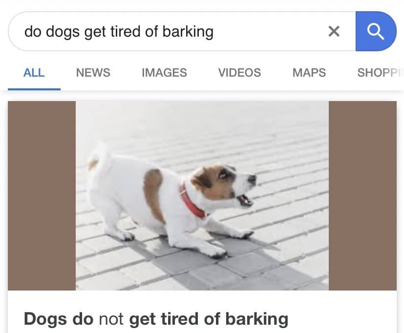god damn it