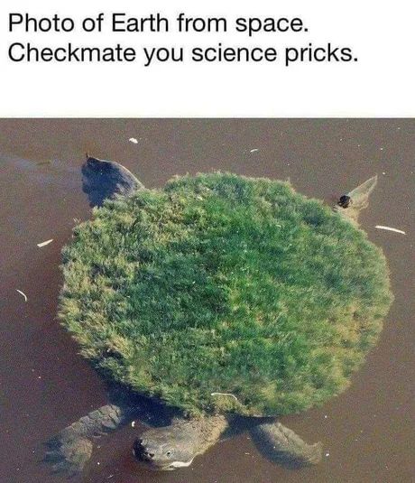 Check m8