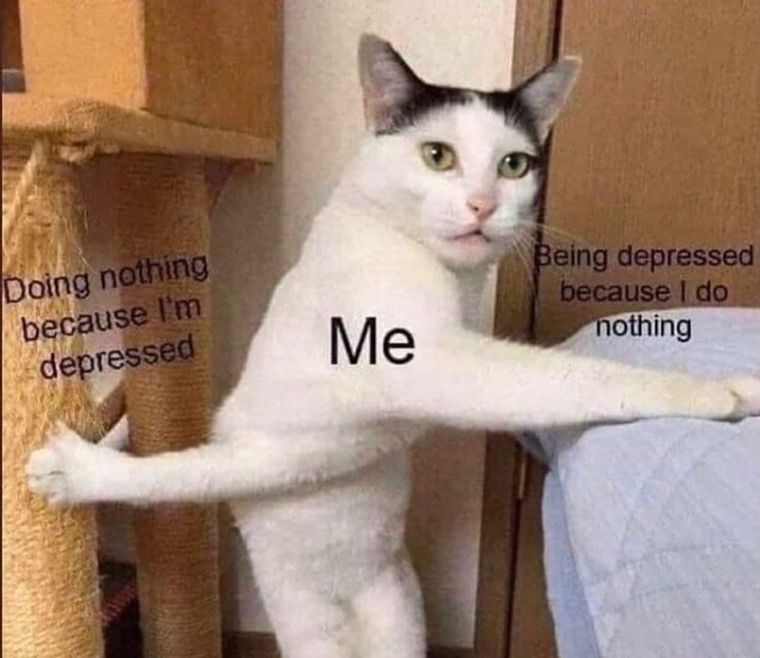 I'm a failure at life but also skyrim isn't going to play itself for the 500th time