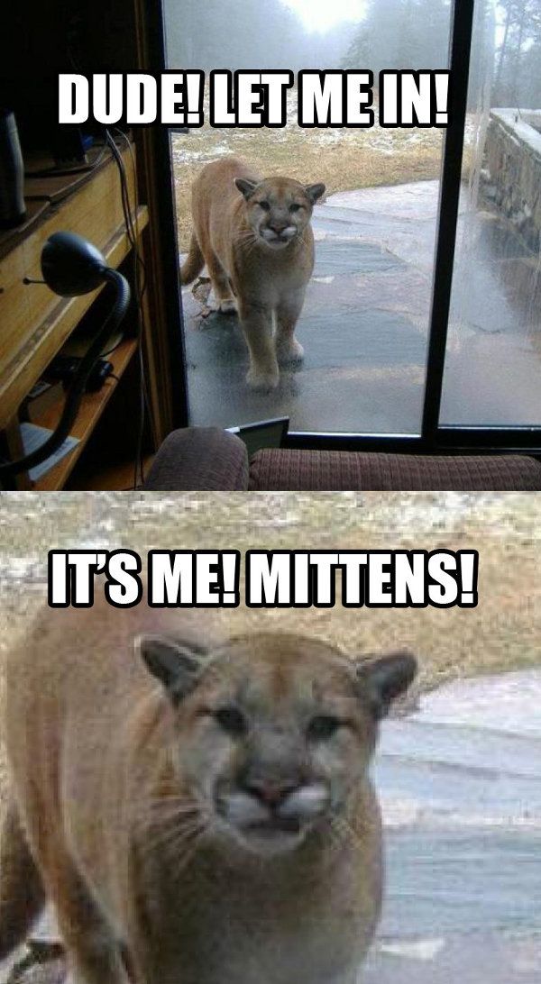 c'mon man its me
