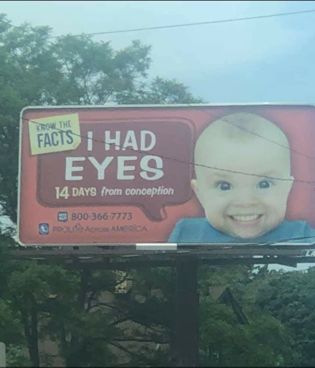 The Terrifyingly Toothy Baby on this Pro-life Billboard.