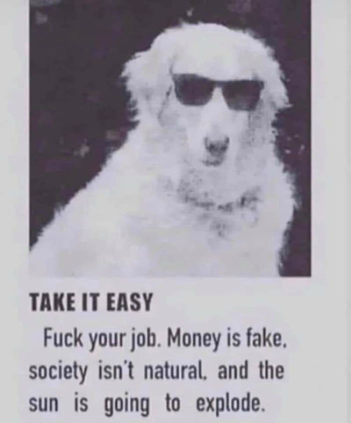 doggo