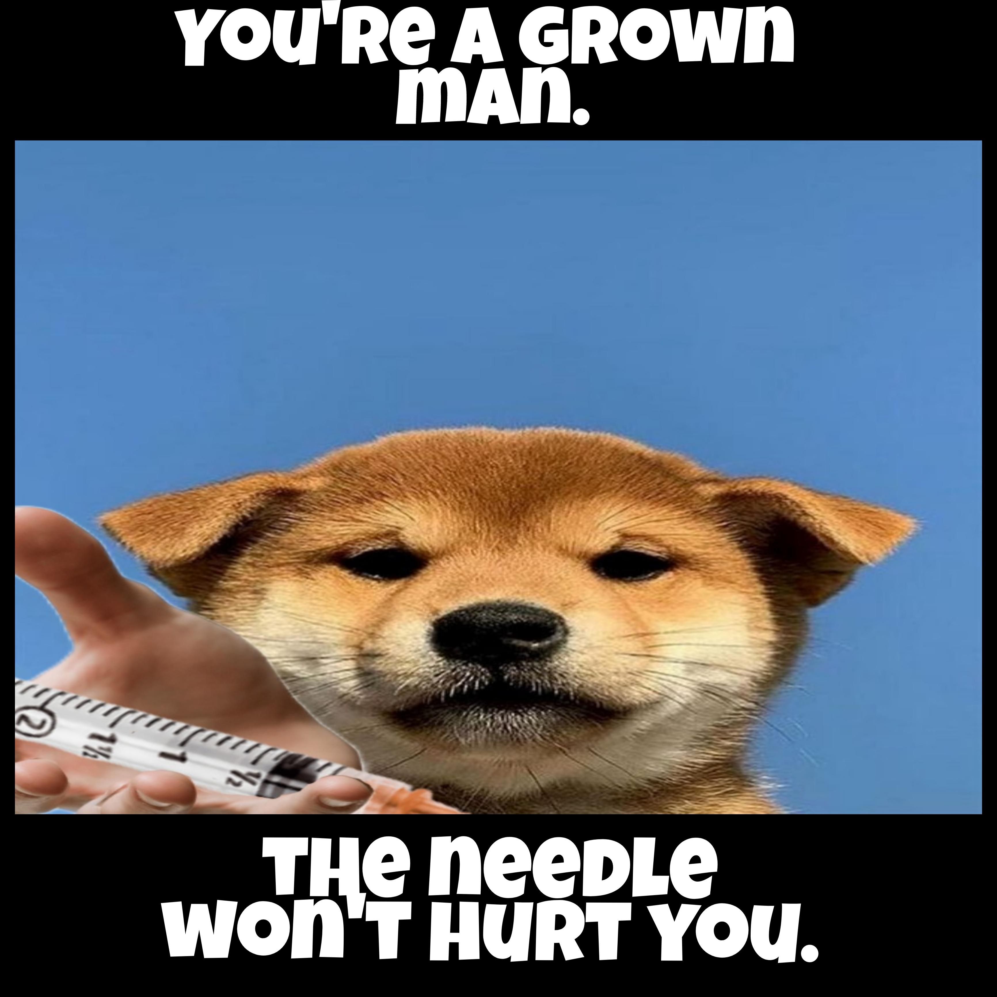 Don't worry about what's inside it
