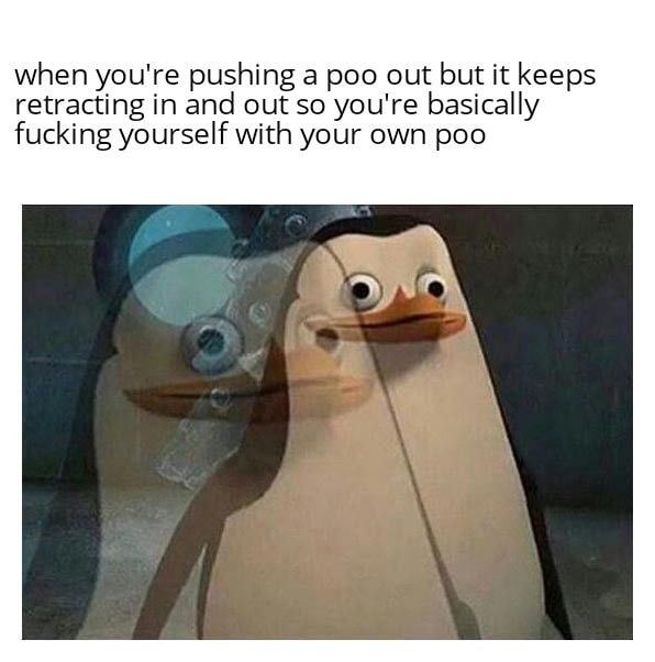 the more you know