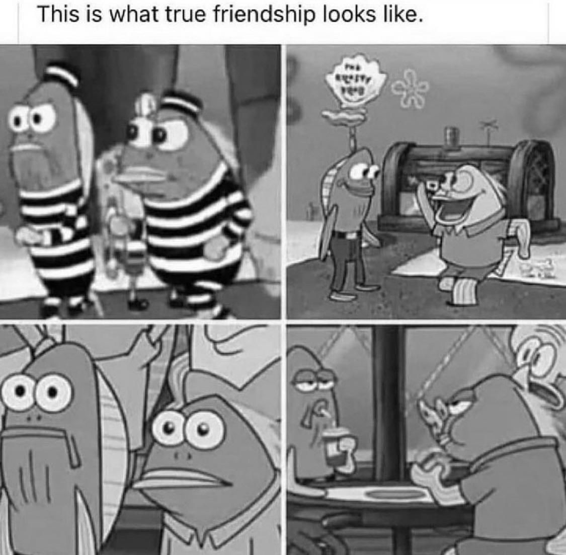 Real friendship.