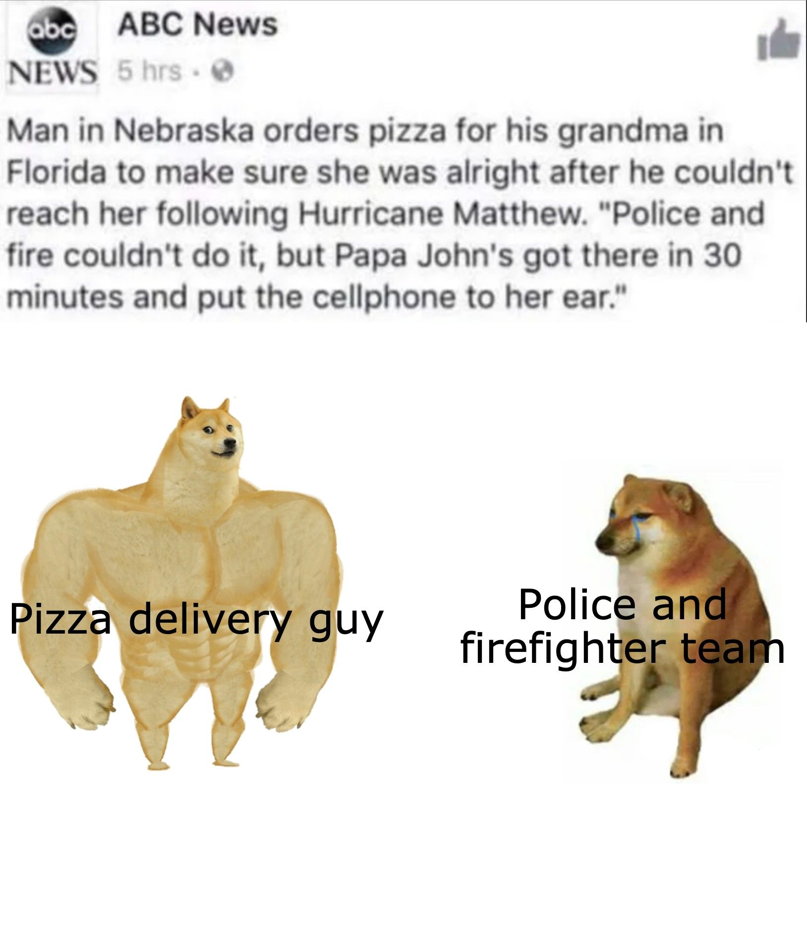 Pizza delivery > Government