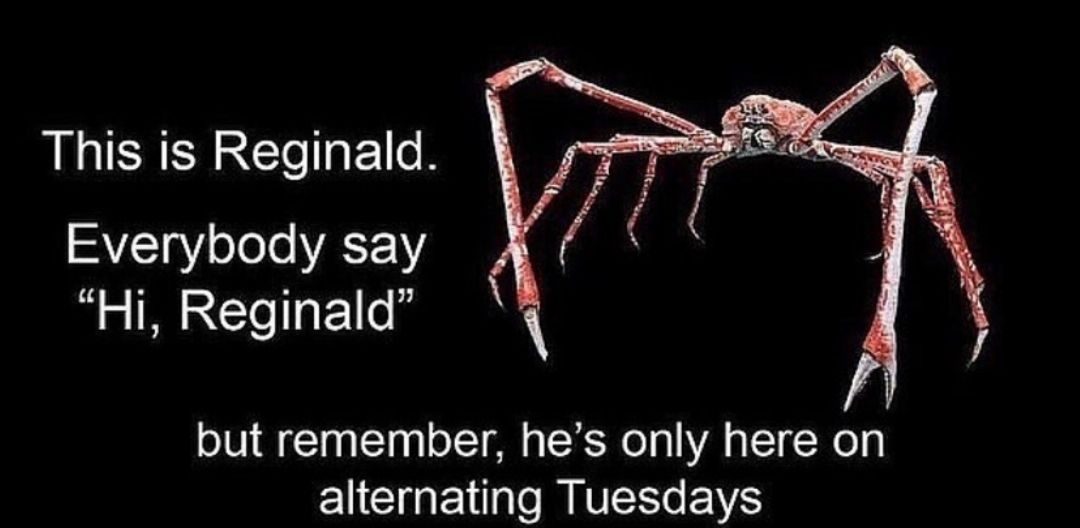 Hi, Reginald