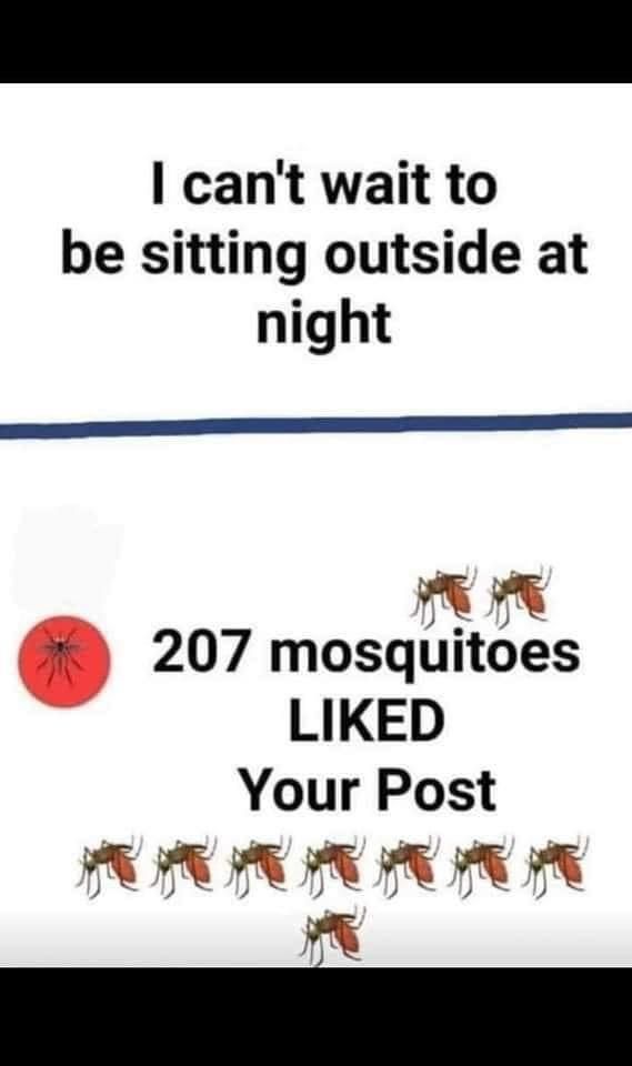 Stupid mosquitos