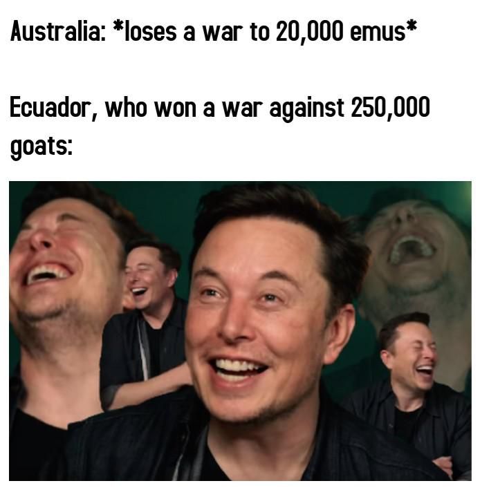 C'mon, Australia! You can do better than that!