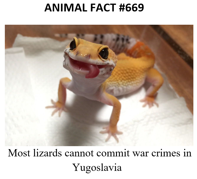 Animal fact of the day