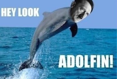 Pls dont ban me, its just a friendly dolphin