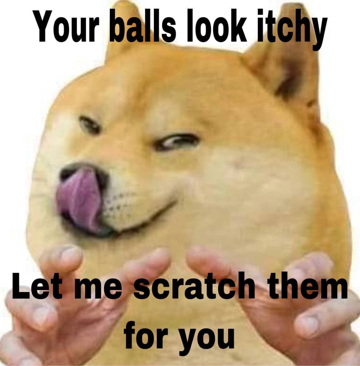 your testicles, give them to me