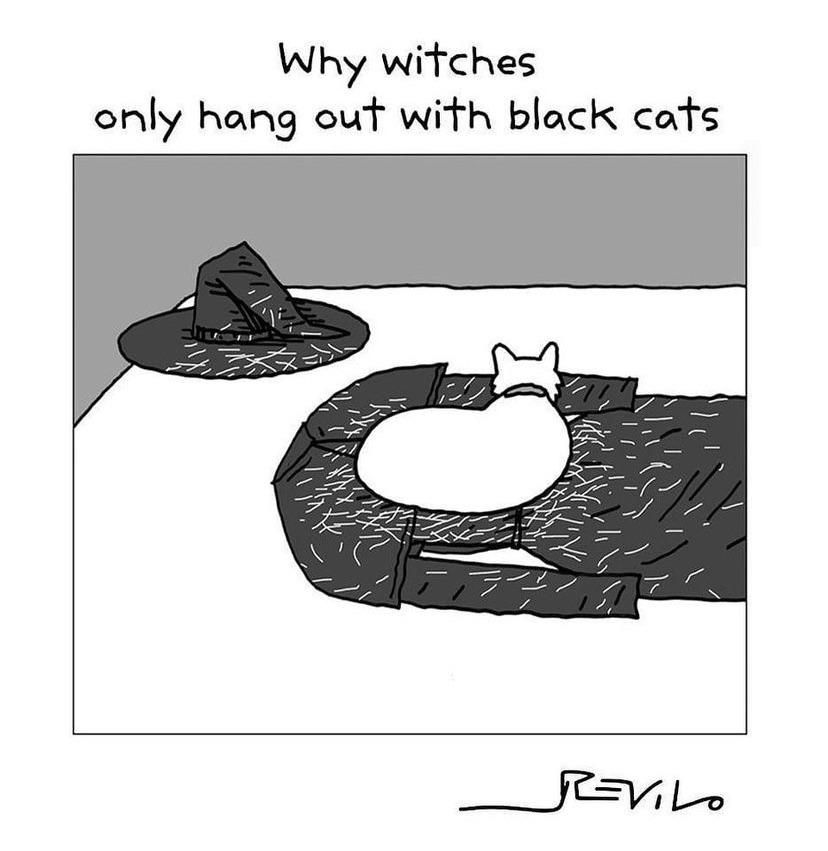Witches & black cats